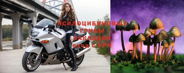 таблы Богородицк