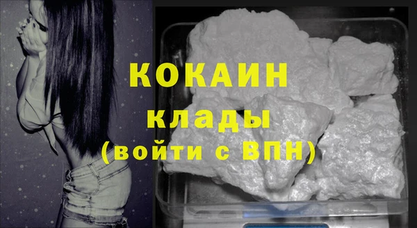 PSILOCYBIN Снежногорск
