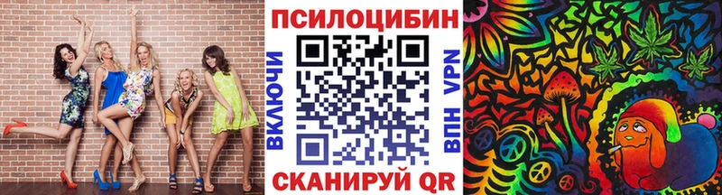магазин  наркотиков  Кирсанов  Галлюциногенные грибы MAGIC MUSHROOMS 